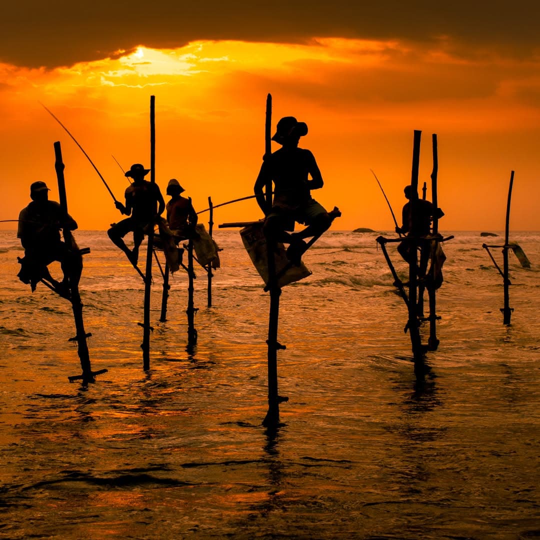Stilt Fishermen
